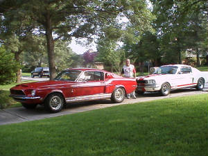 1968 SHELBY GT-350 & 1966 Shelby Replica